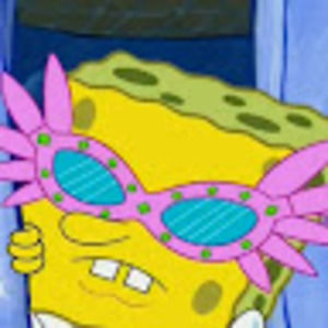 Meet your Posher, Aleesha